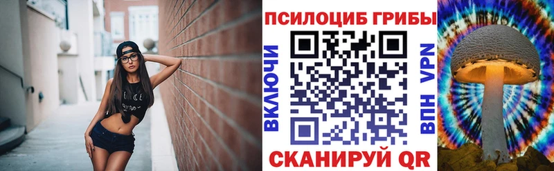 где купить наркотик  Таганрог  Галлюциногенные грибы Magic Shrooms 